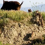 Redipuglia * Альберезе
