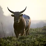Redipuglia