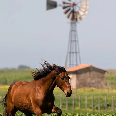 Farm stay Redipuglia Alberese